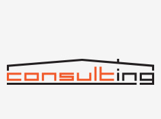 CONSULT-ING: logo