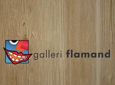 Galleri Flammand logo, negativ